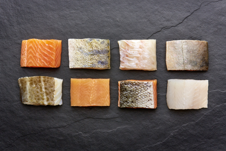 Exakt portionierte Fischfilets Fischfiletportionen von 3 verschiedenen Fischen